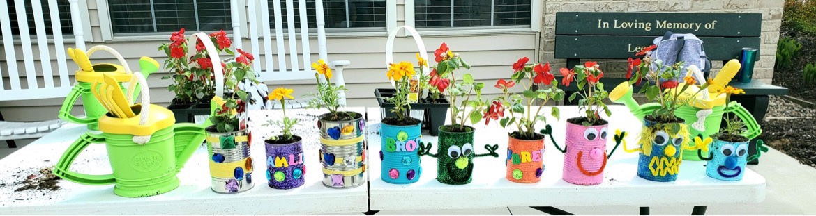 Painted tin cans hold marigolds and geraniums planted by preschoolers